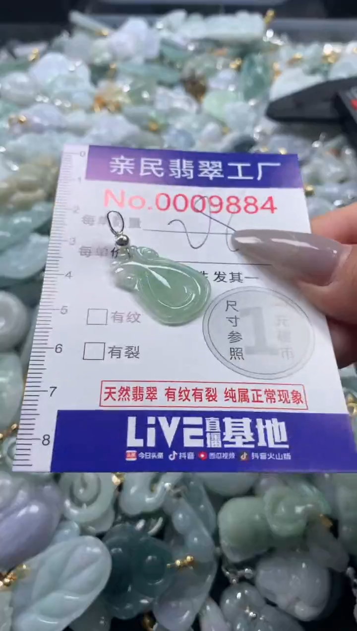 颈饰未镶嵌翡翠9884