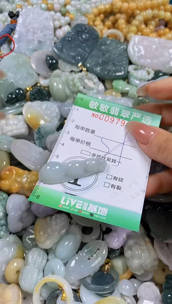 【闪购商品】翡翠颈饰未镶嵌闪购0097901