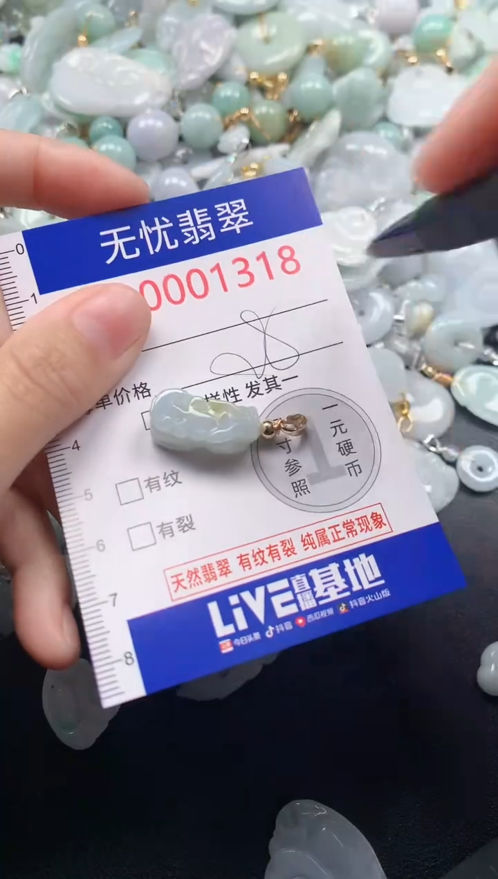 颈饰未镶嵌翡翠1318