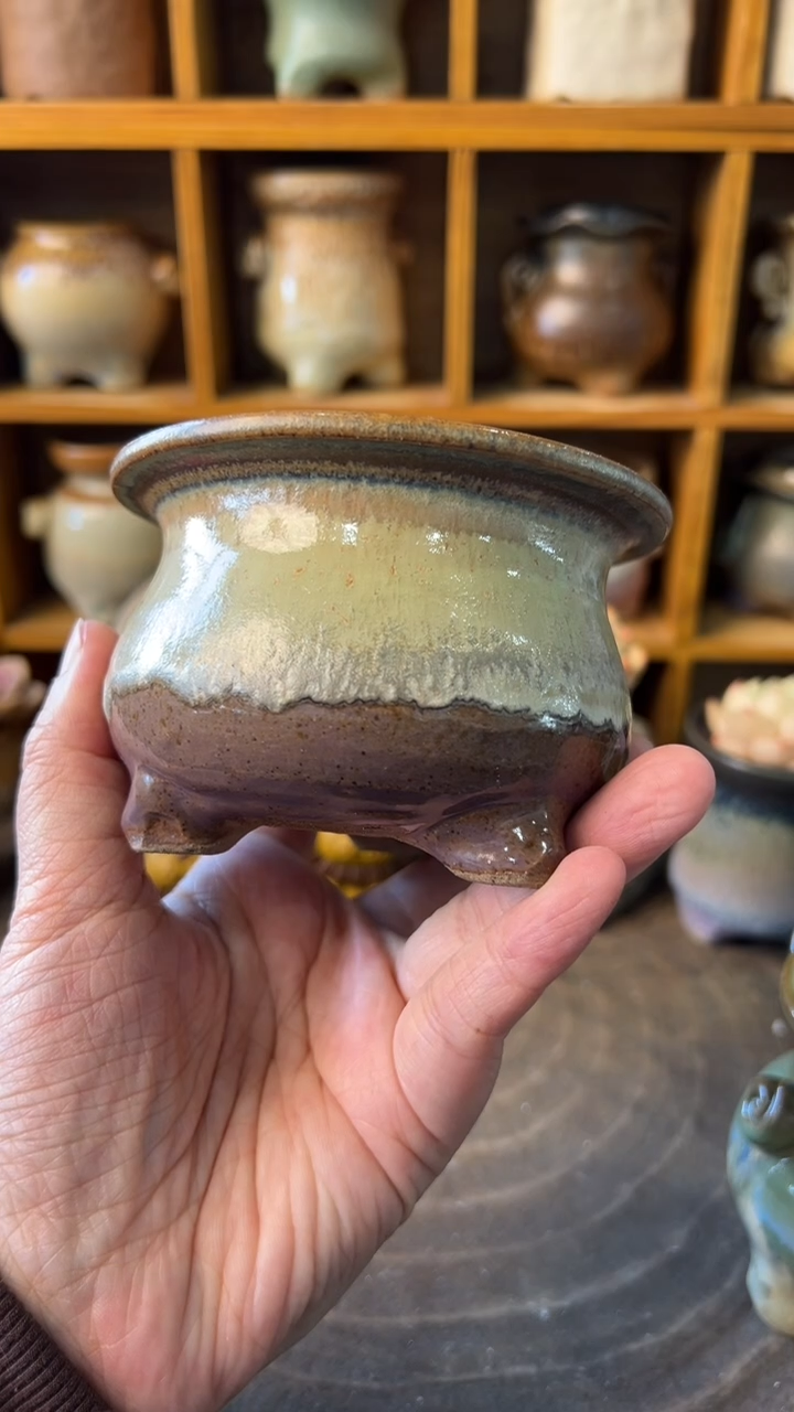 小*曲392【多肉花盆多肉盆】