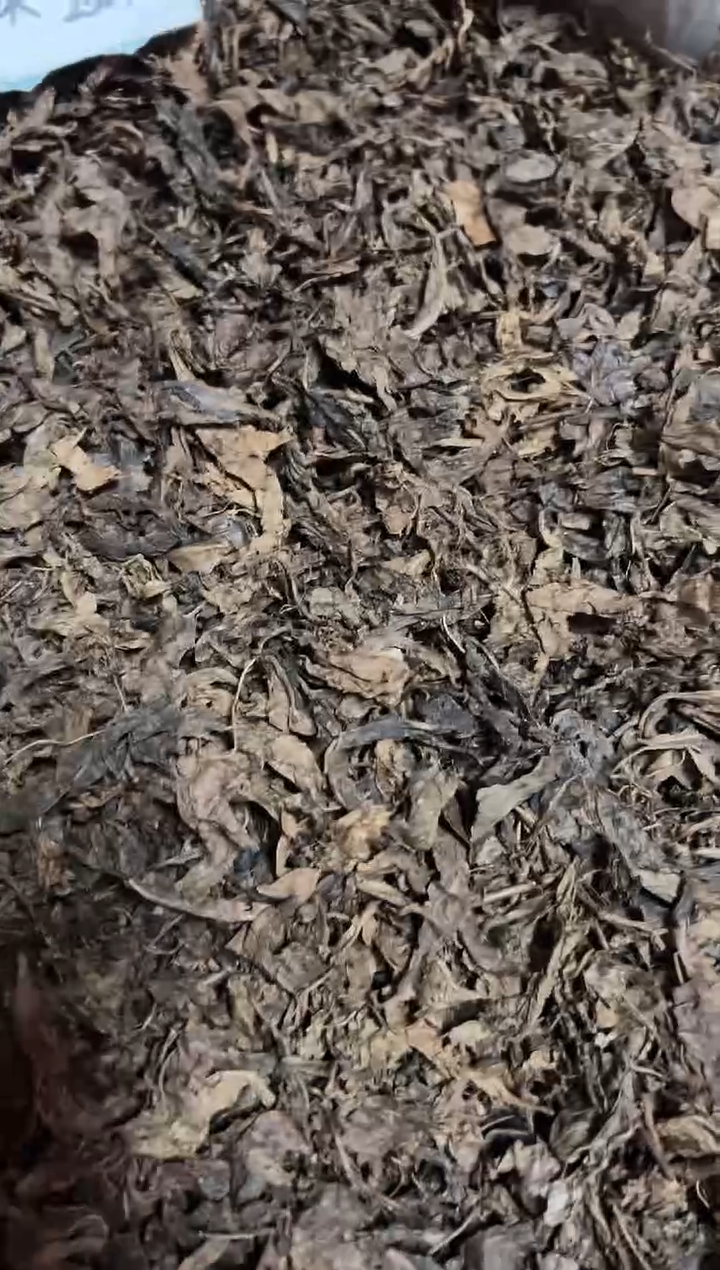 高马二溪2000年董事长私藏生尖茶252克