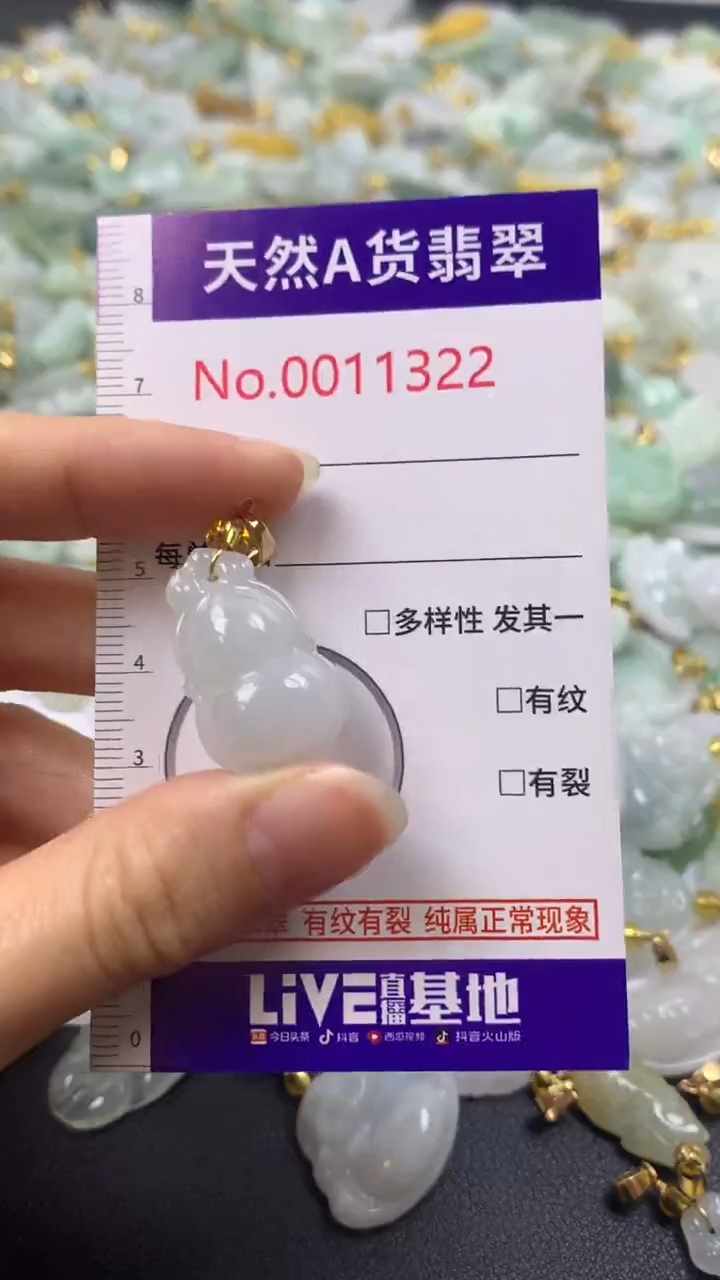 颈饰未镶嵌翡翠1