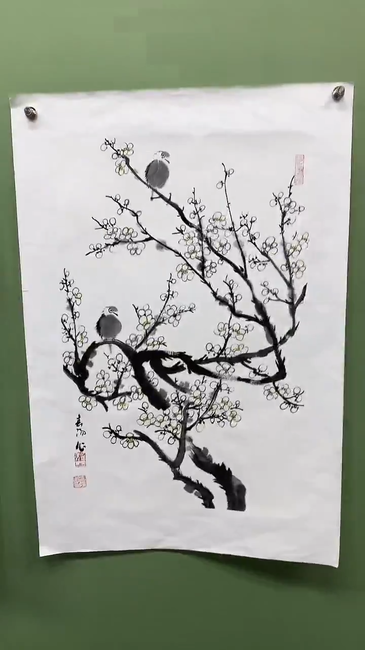 竖款精品开三花鸟白梅，