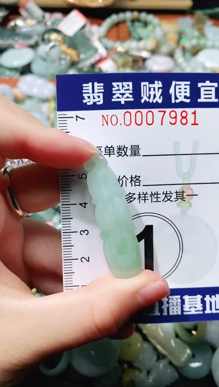 【闪购商品】翡翠颈饰未镶嵌闪购0007981