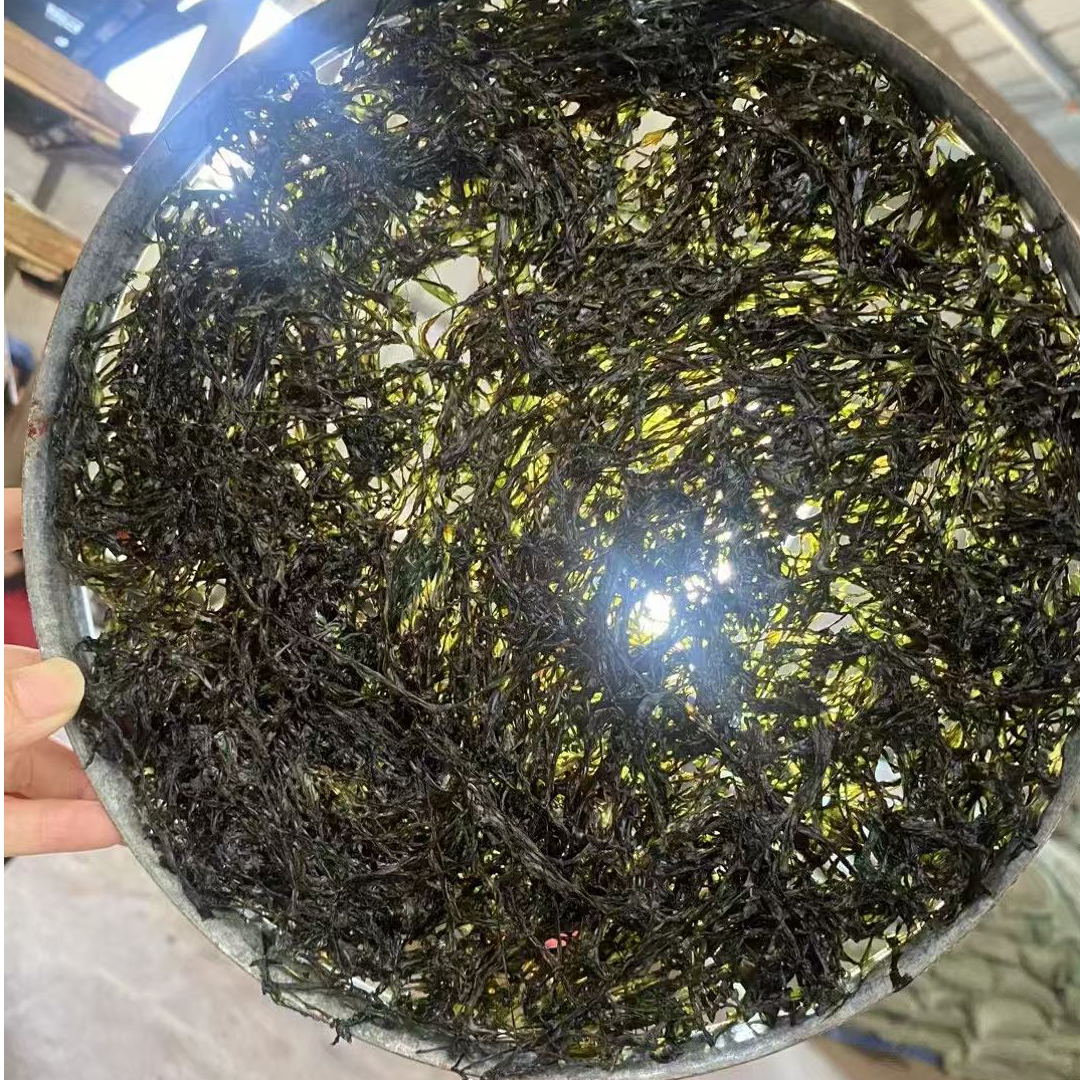 东山岛 头水紫菜 第一天菜 顺丰发货