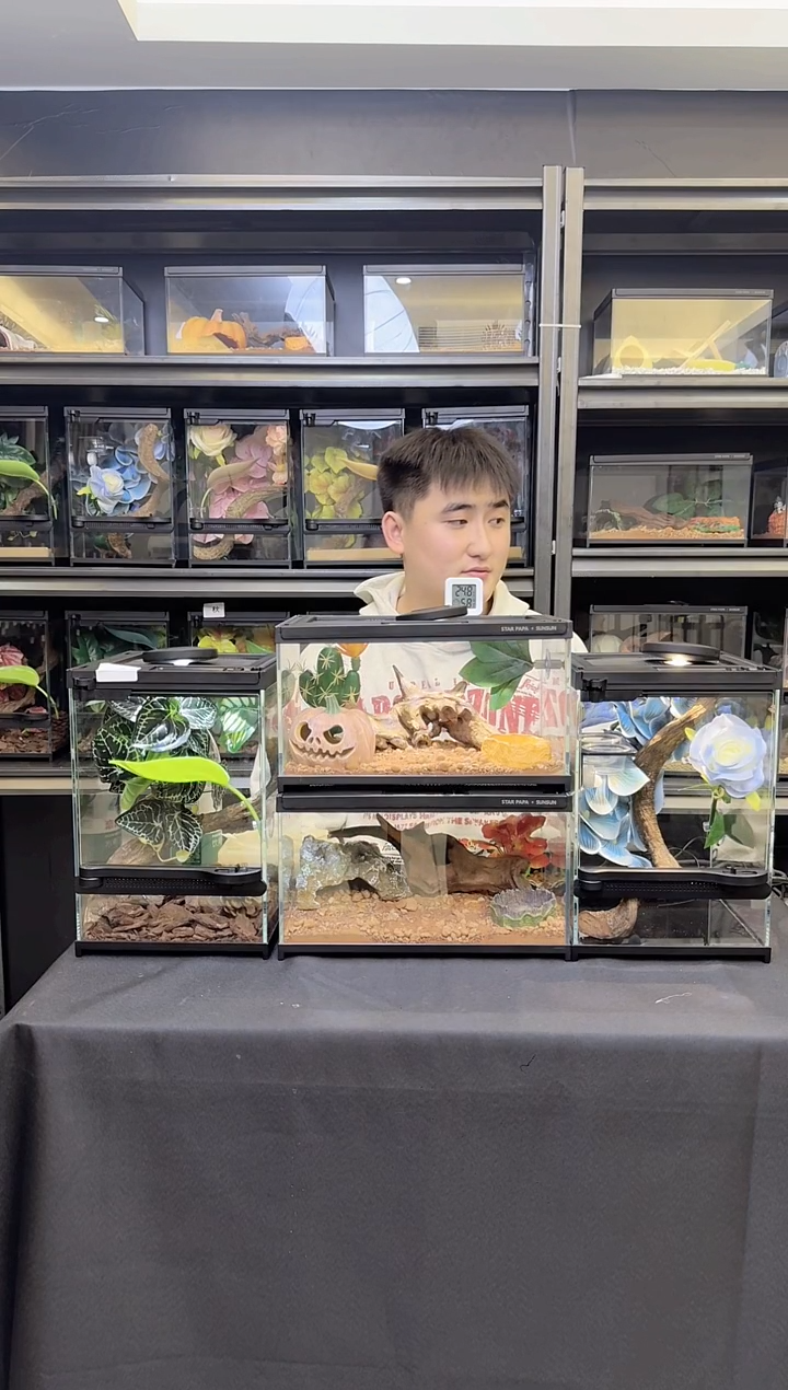 幼稚园专属粉色+白色