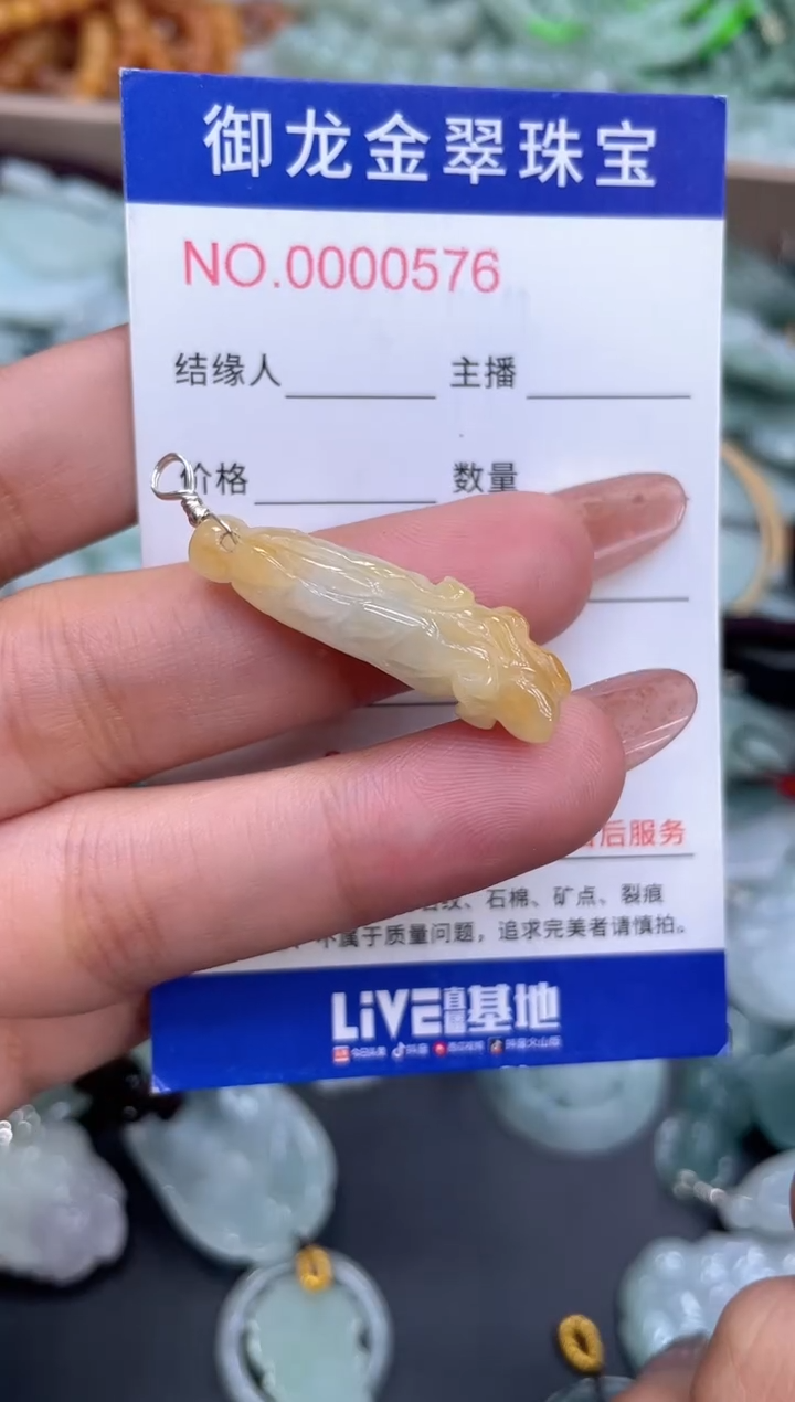颈饰未镶嵌翡翠013