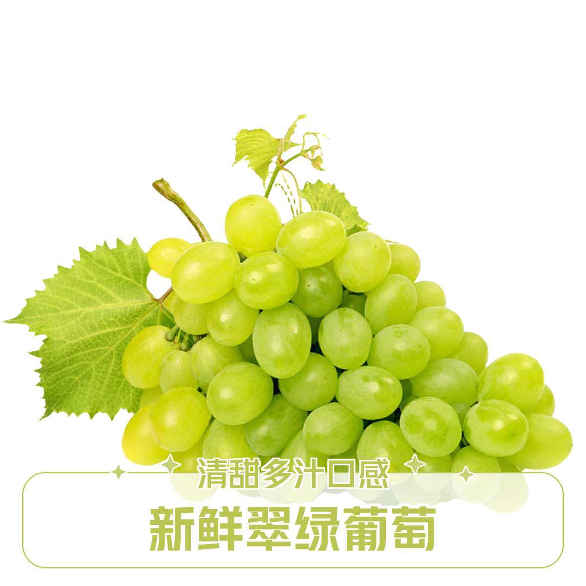 新疆无核白葡萄无籽提子装新鲜当季水果香甜多汁坏果包赔新疆维吾尔自治区