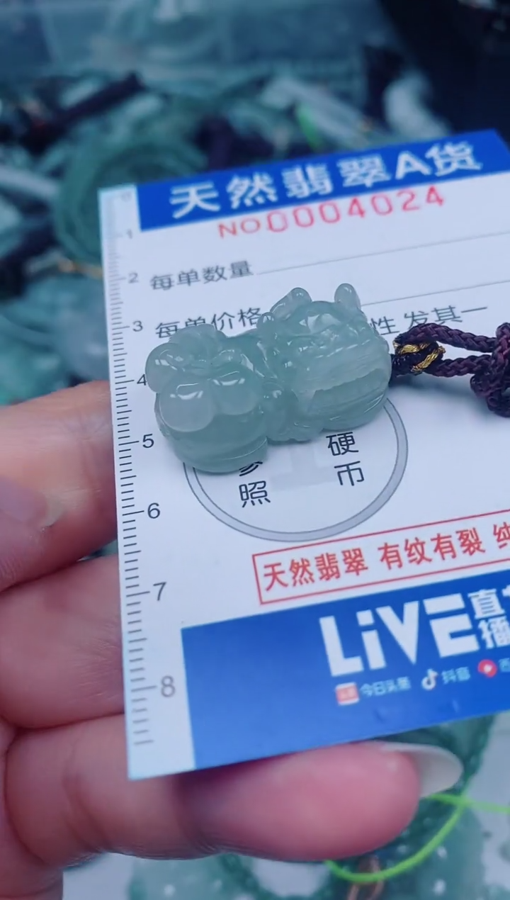 颈饰未镶嵌翡翠00004024