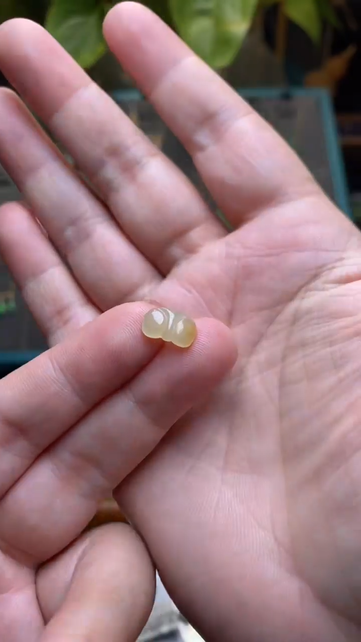 颈饰未镶嵌翡翠净货35812