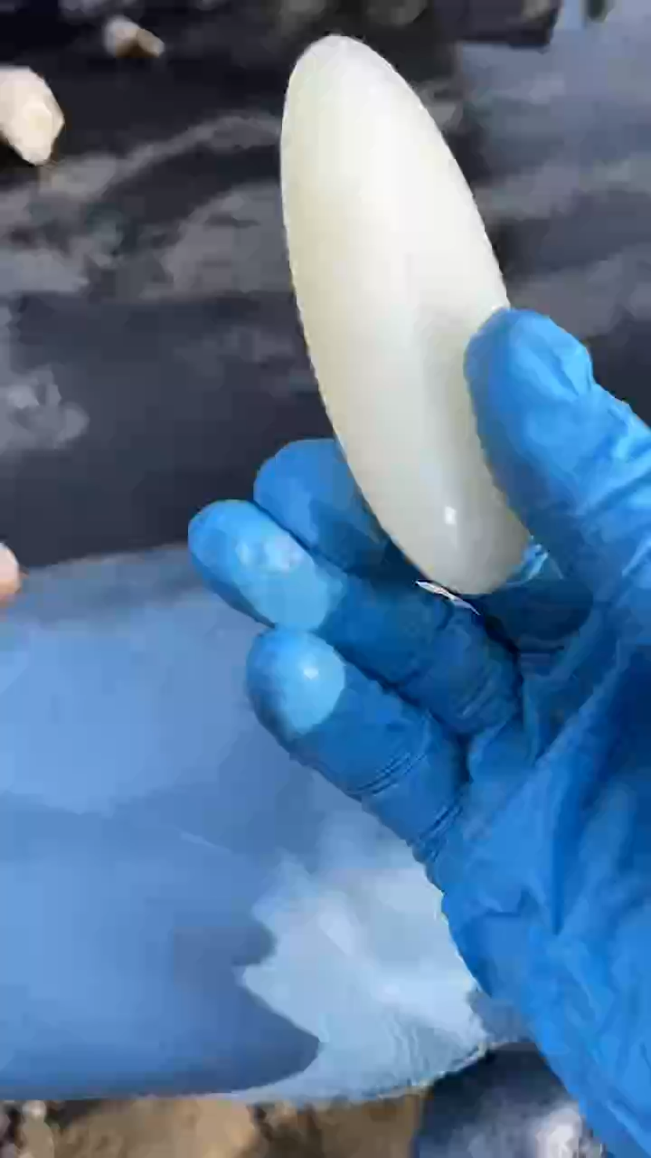 颈饰未镶嵌和田玉（糖玉）001