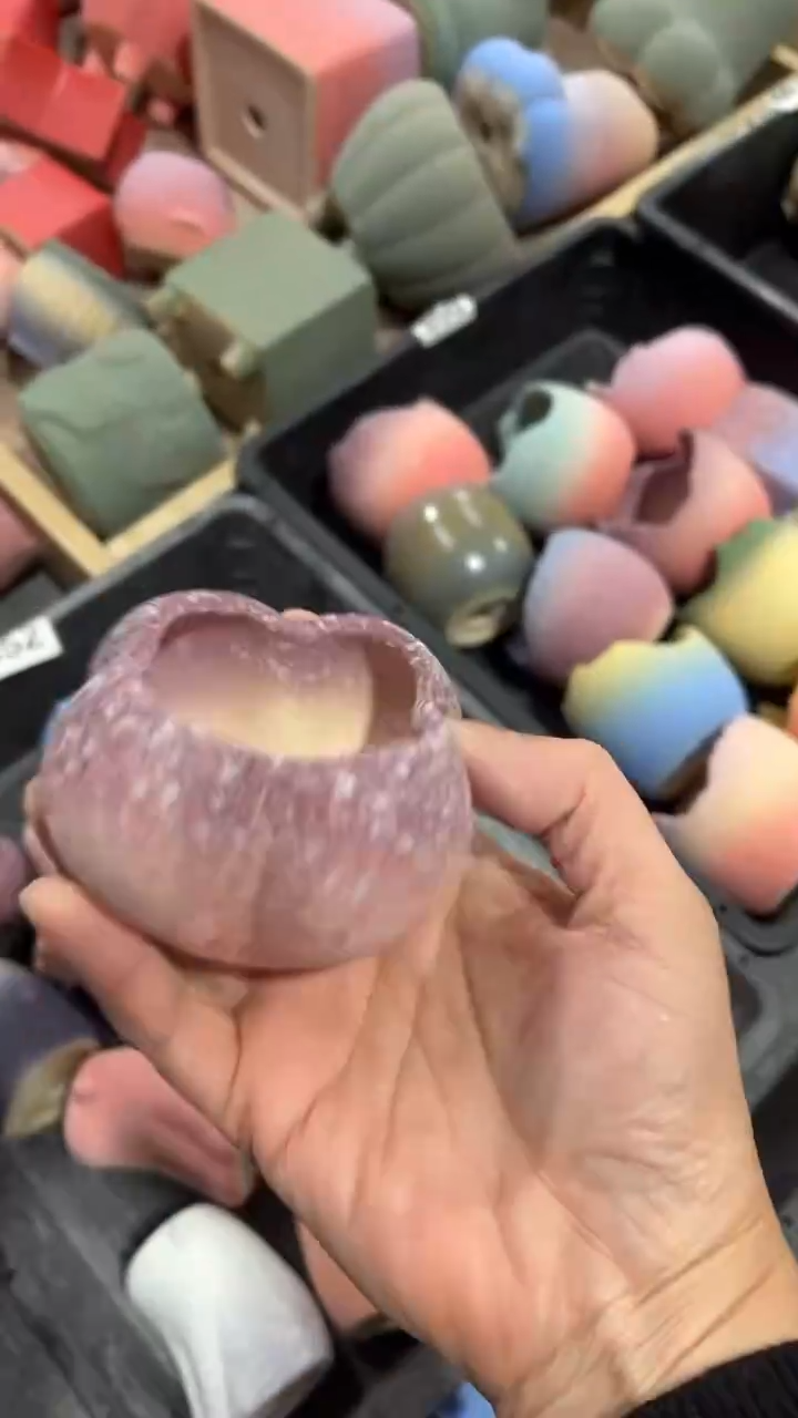 【闪购商品】红陶5*5