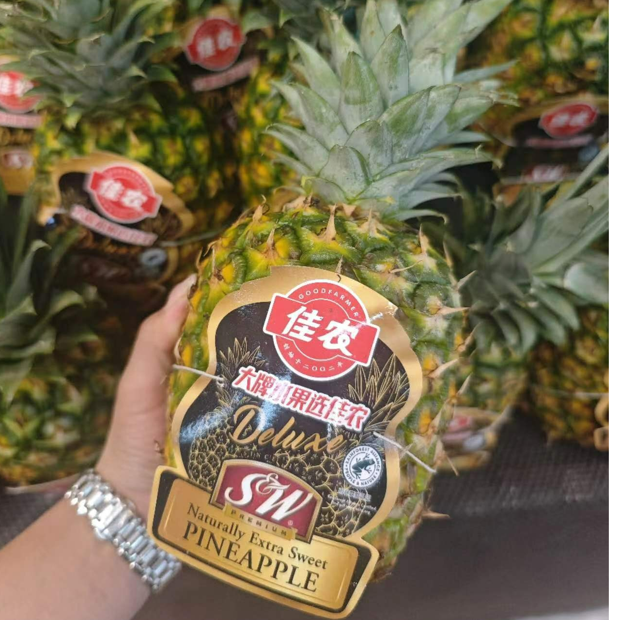 【同城配送】菲律宾凤梨/个