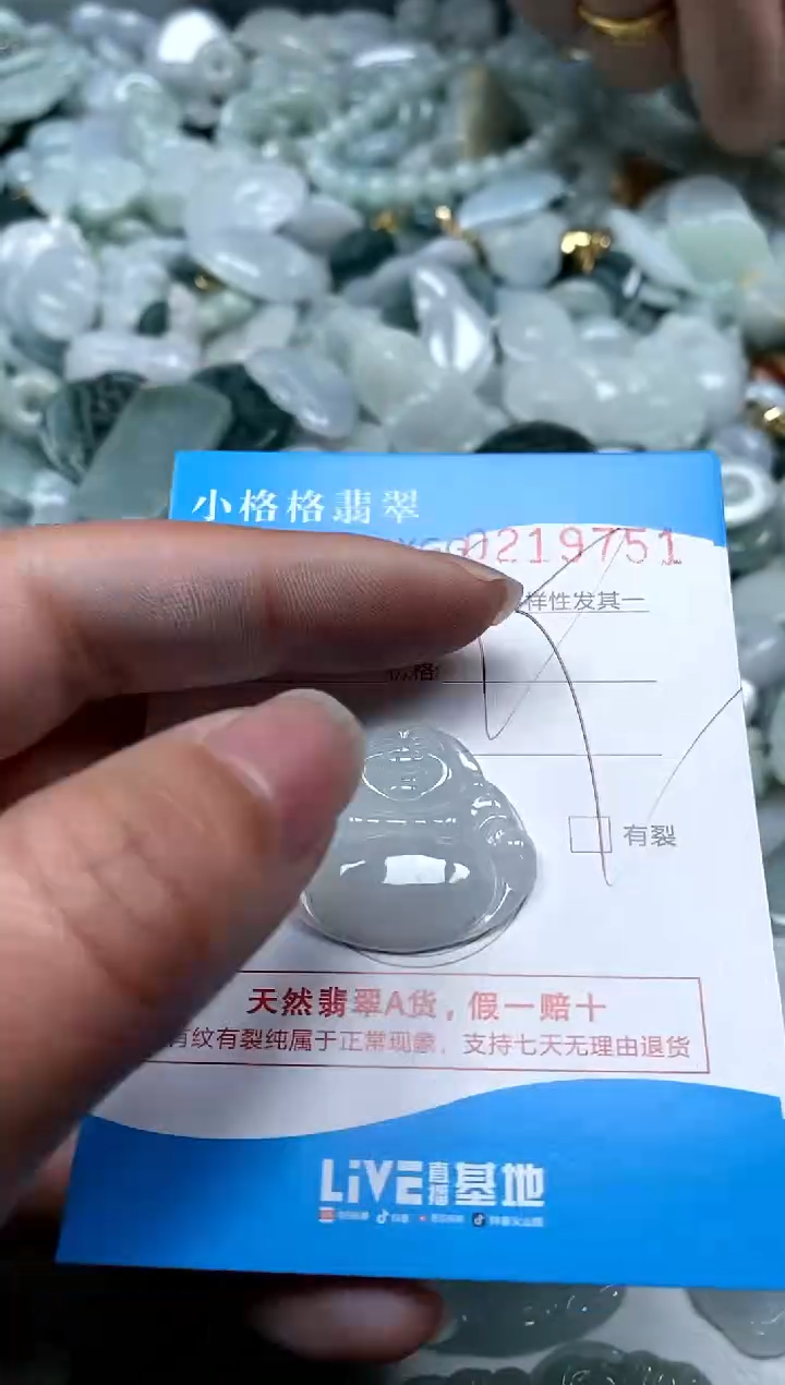 【闪购商品】翡翠颈饰未镶嵌闪购商品0219751