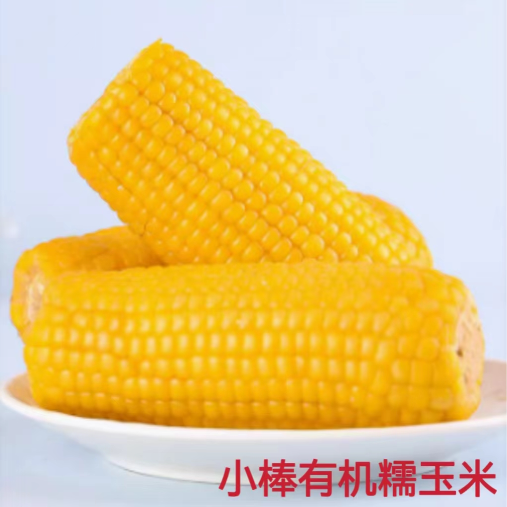 《专属12根有机玉米》大姐农庄小棒黄糯玉米12根2.1kg实际发4.5斤