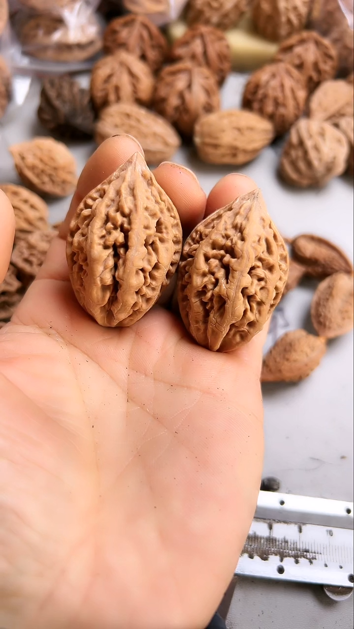 核桃东北野生大秋子1