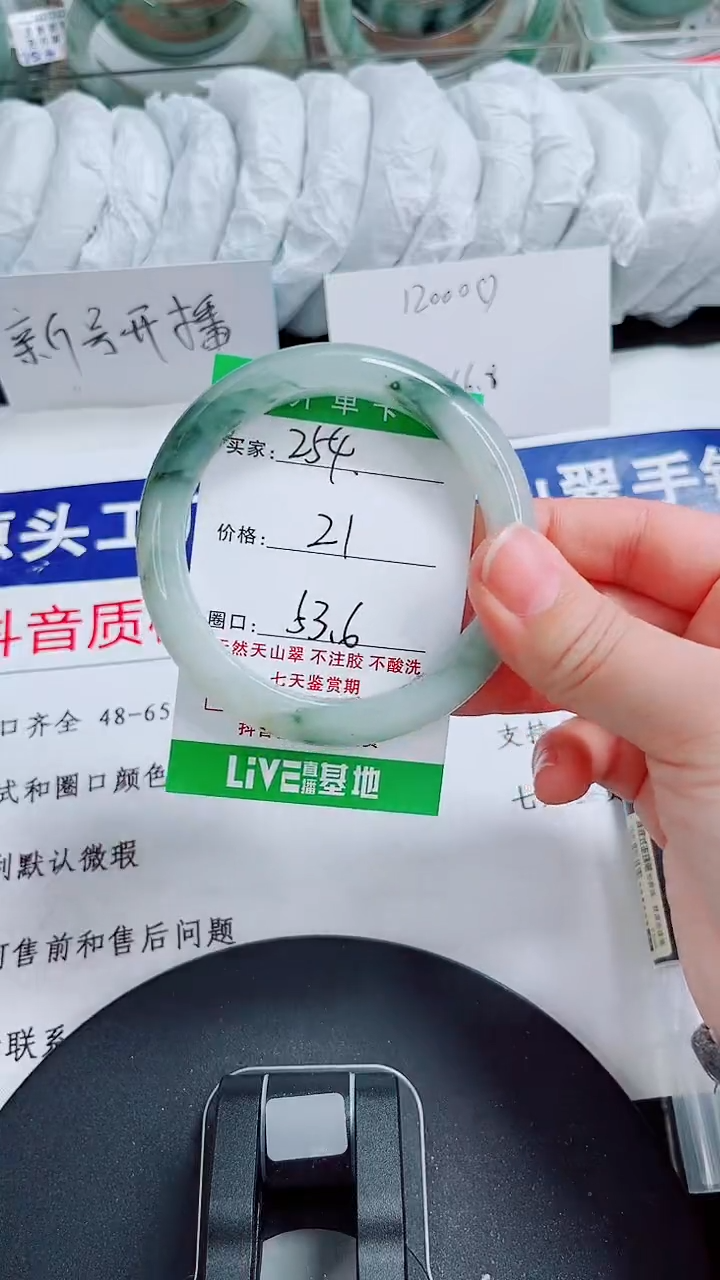 未镶嵌手镯石英质玉254-53/54