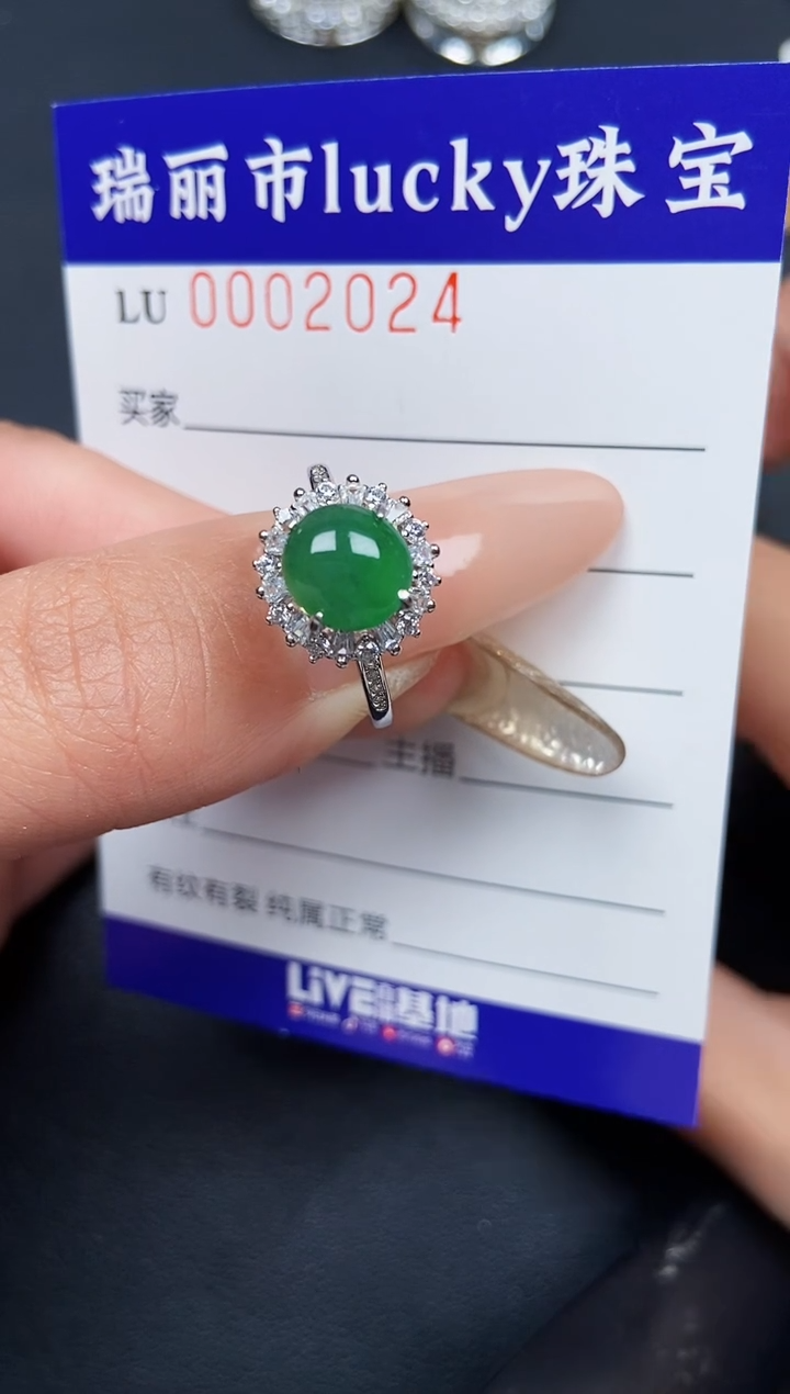 【闪购商品】翡翠颈饰银S925镶嵌2024