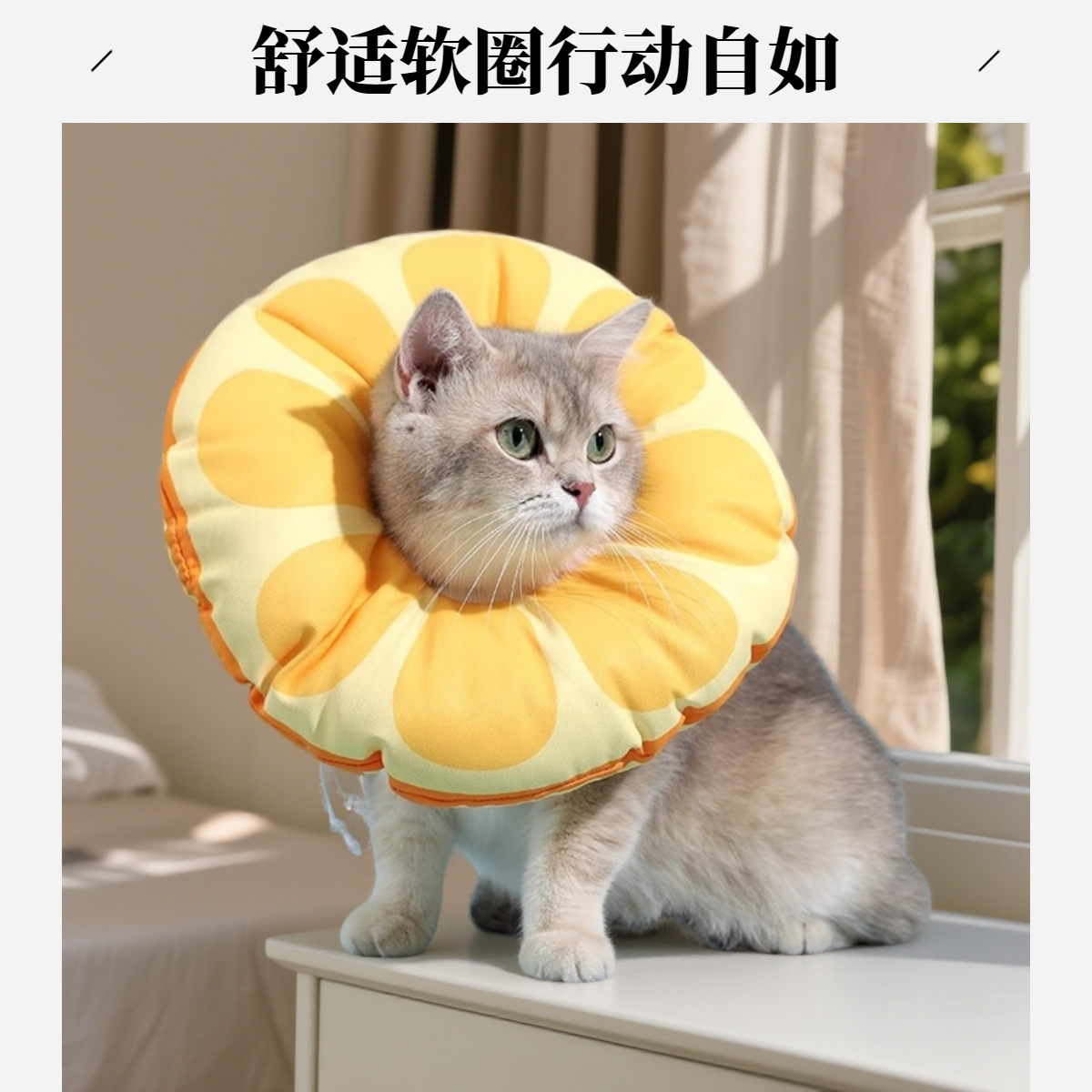 猫咪狗狗通用伊丽莎白圈防舔咬绝育脖套宠物实用饰品