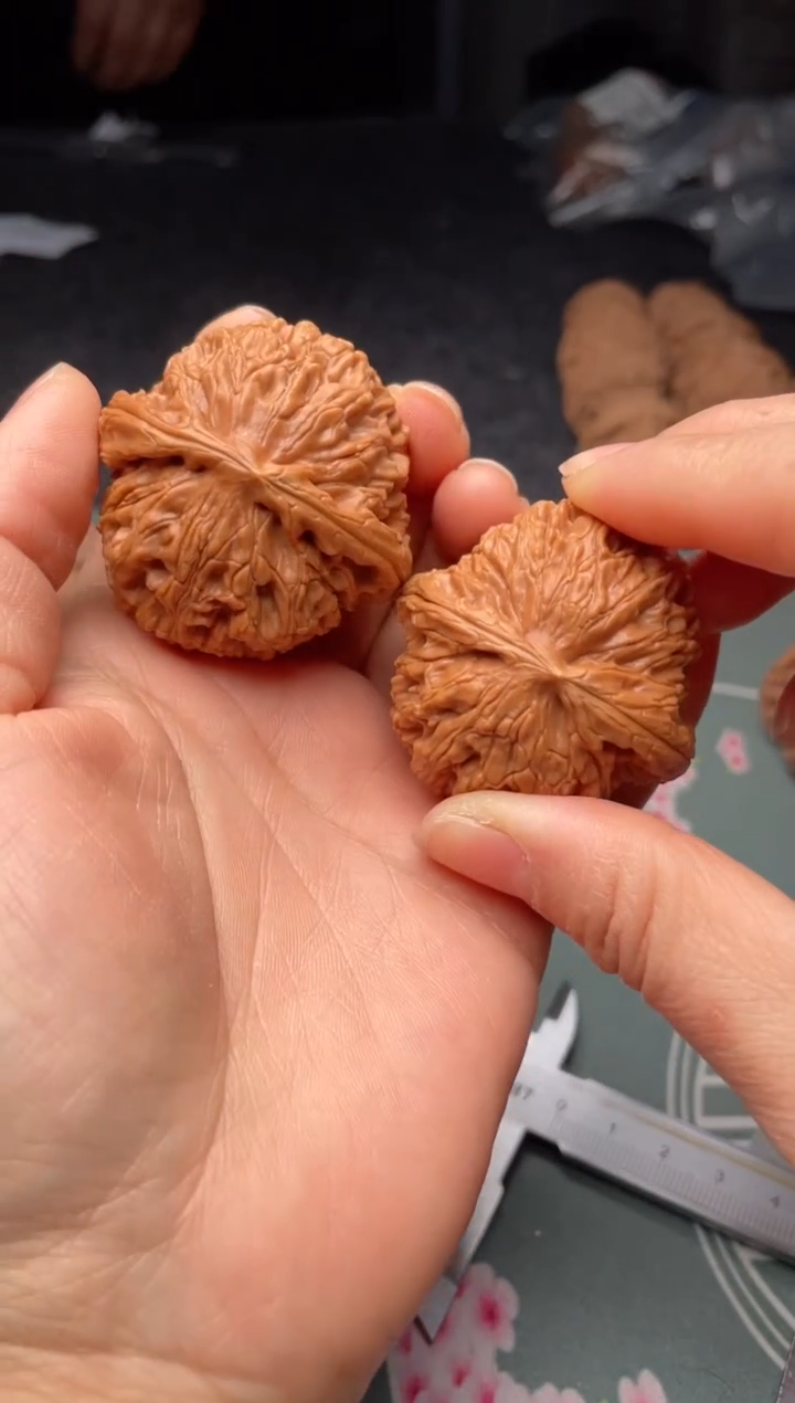 把件文玩核桃w20  水龙纹 44尺