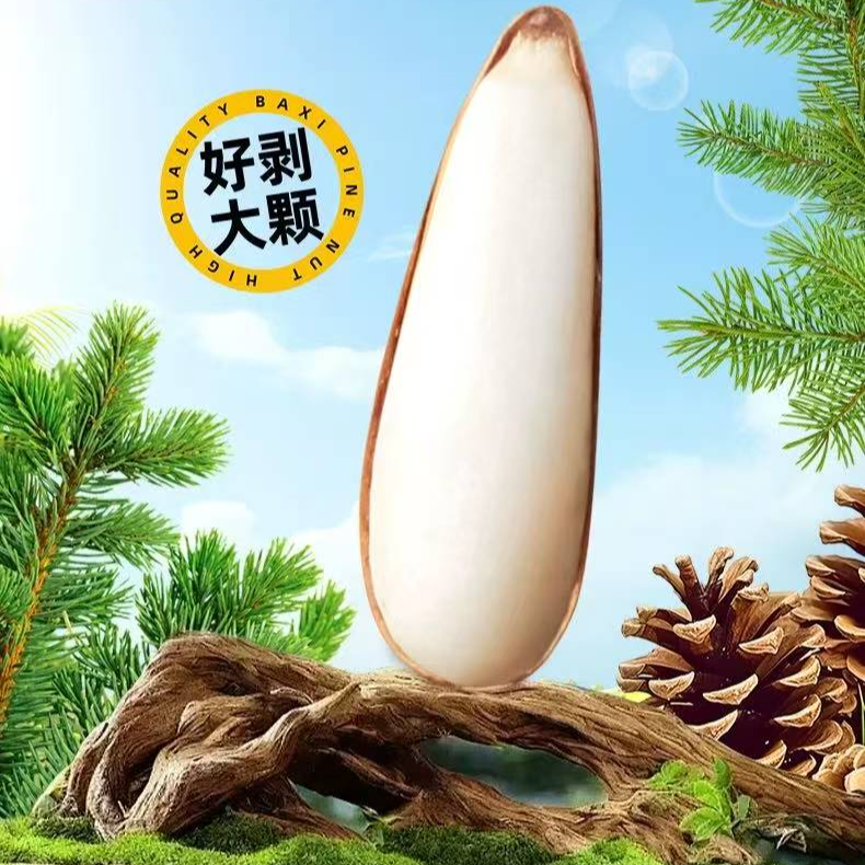 新货巴西松子500g精品大罐装坚果零食炒货