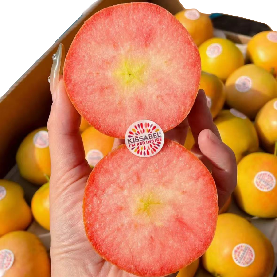 法国限定品质自然之吻红肉樱花粉苹果3-5斤装（顺丰包邮）