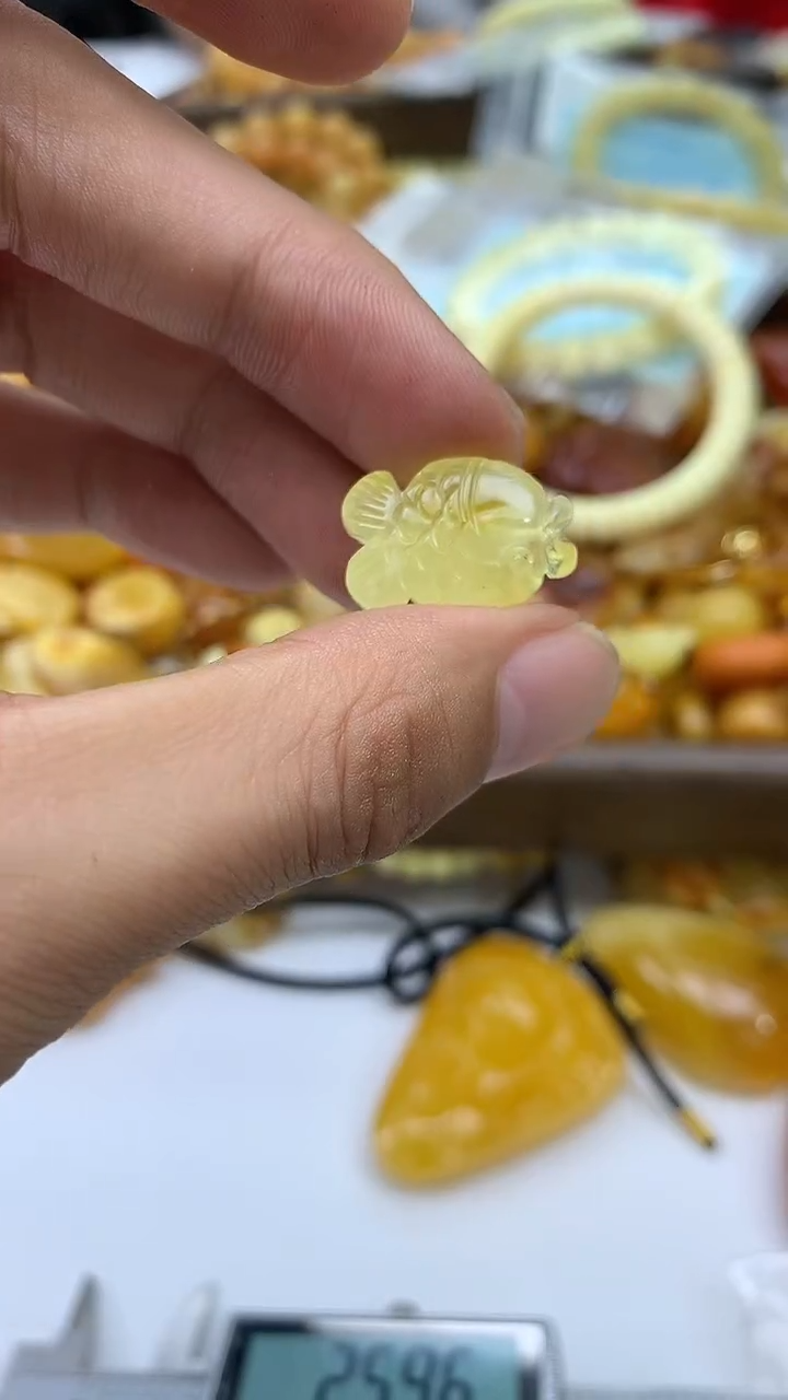 裸石琥珀未镶嵌鱼