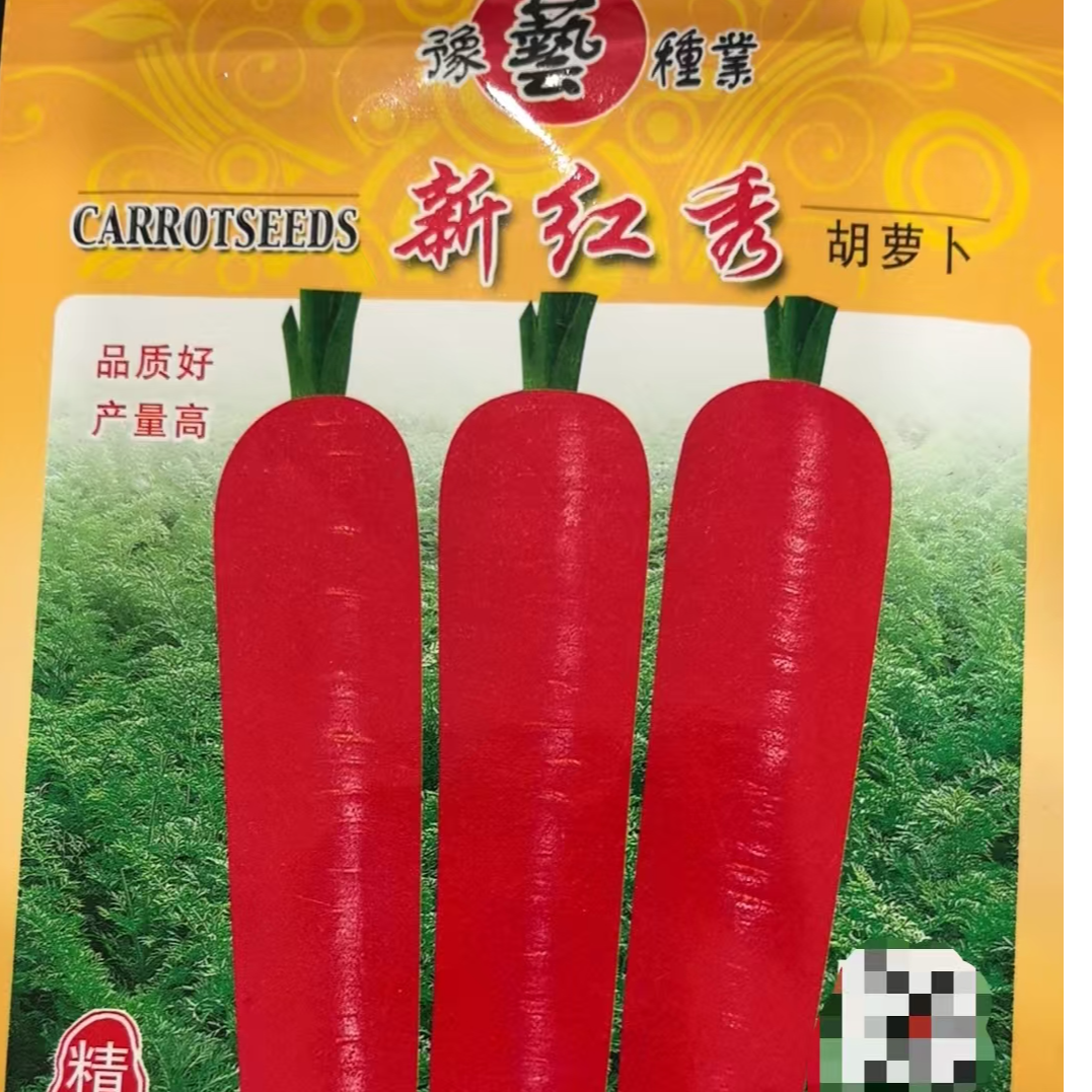 豫艺新红秀胡萝卜种子商品性好