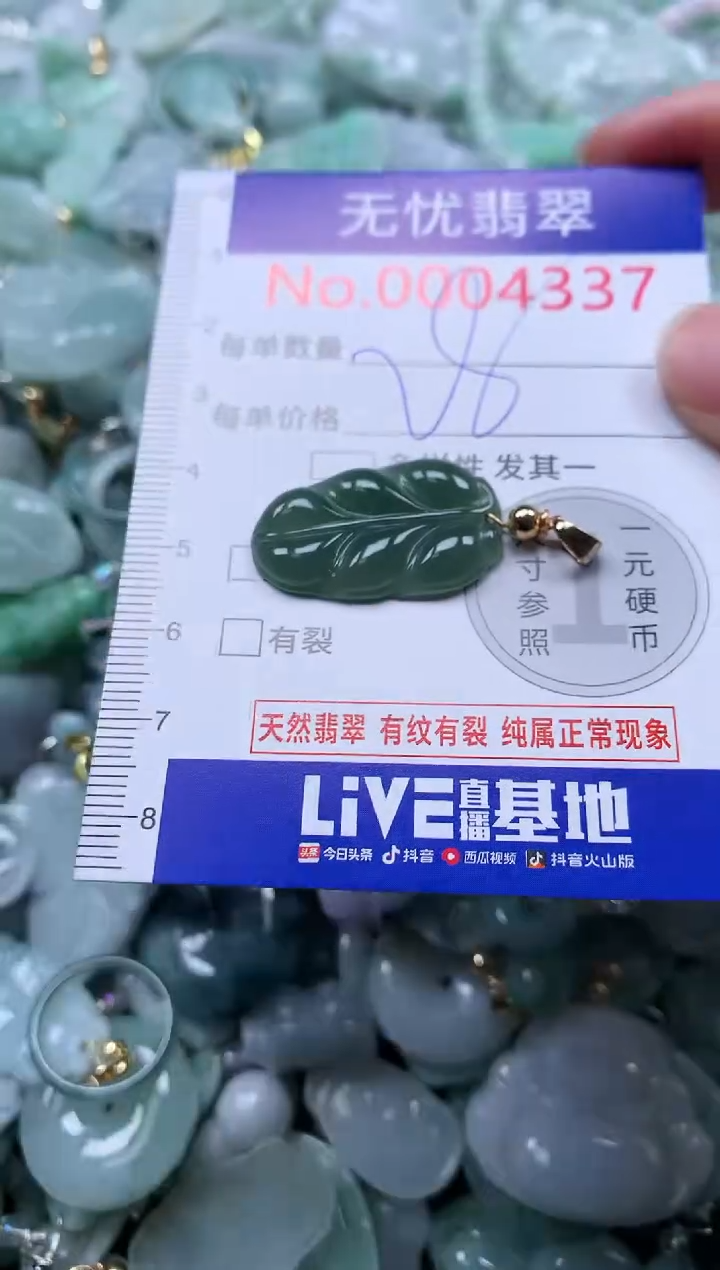 颈饰未镶嵌翡翠4337