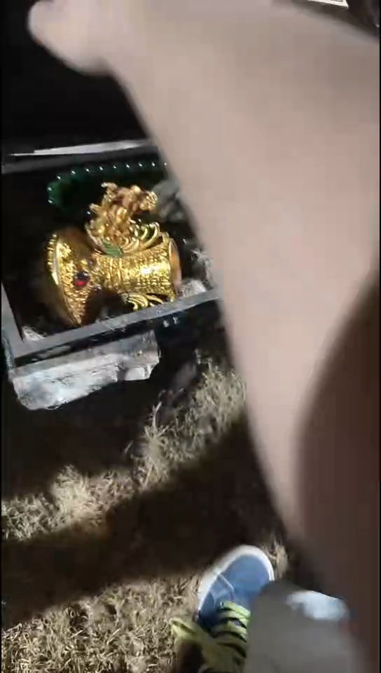 香榧木（1个开封蓝色长方形圆圈大盒子0