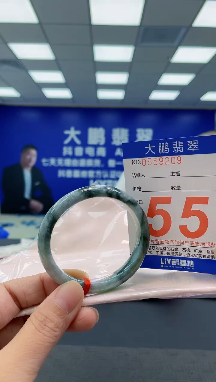 未镶嵌手镯翡翠AAAAAAAAAA