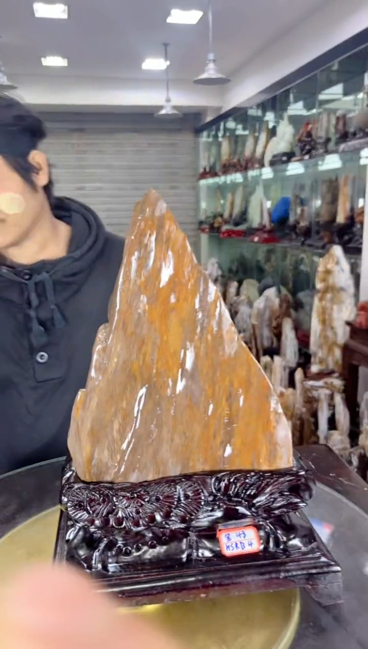 【闪购商品】硅化玉珠宝奇石未镶嵌缅甸天然树化玉