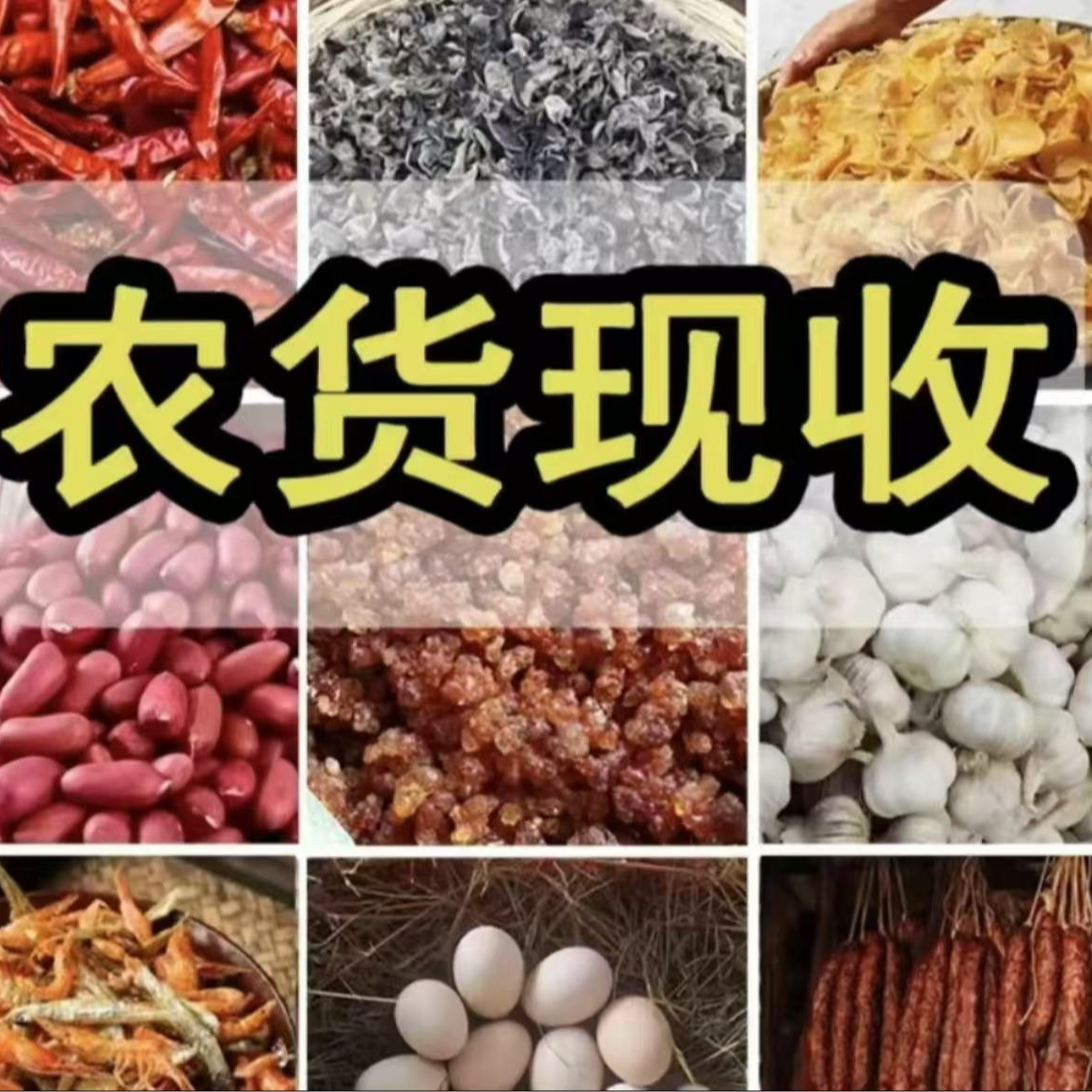 农家山货 现场收货 玉米 土豆 西红柿