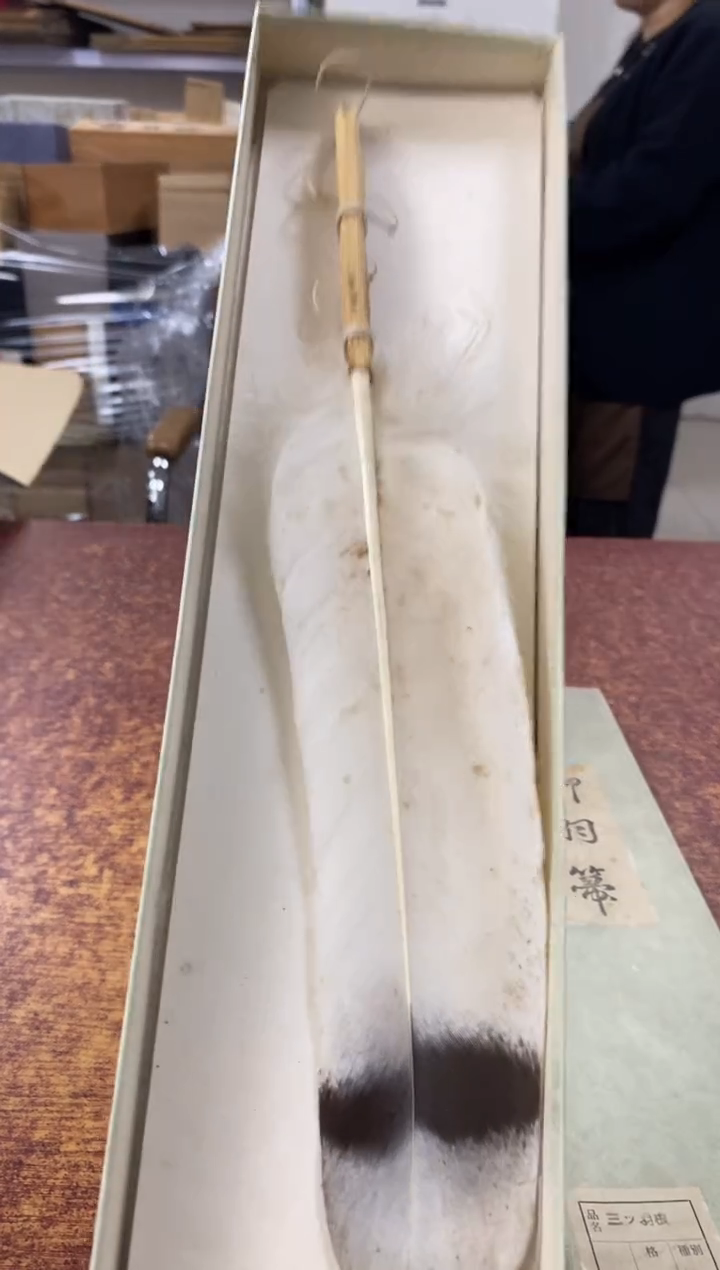 瓷片981小林轩欢迎您