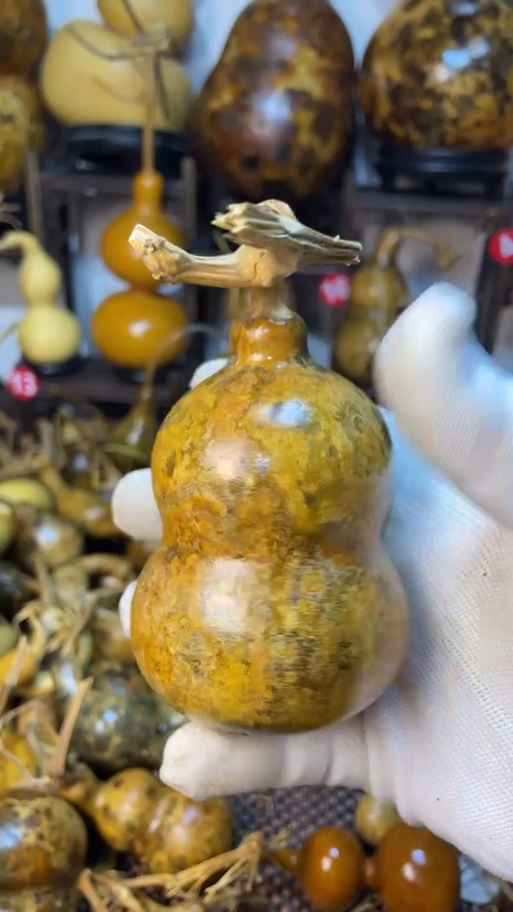 【闪购商品】葫芦葫芦葫芦葫芦