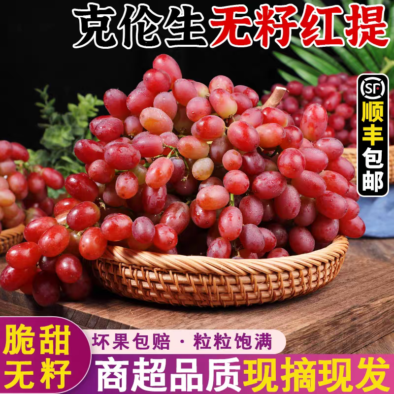 24号【顺丰明日达】大凉山克伦生无籽红提自然生长不打药 部分掉粒干枝不影响食用有上下100克左右的误差四川省