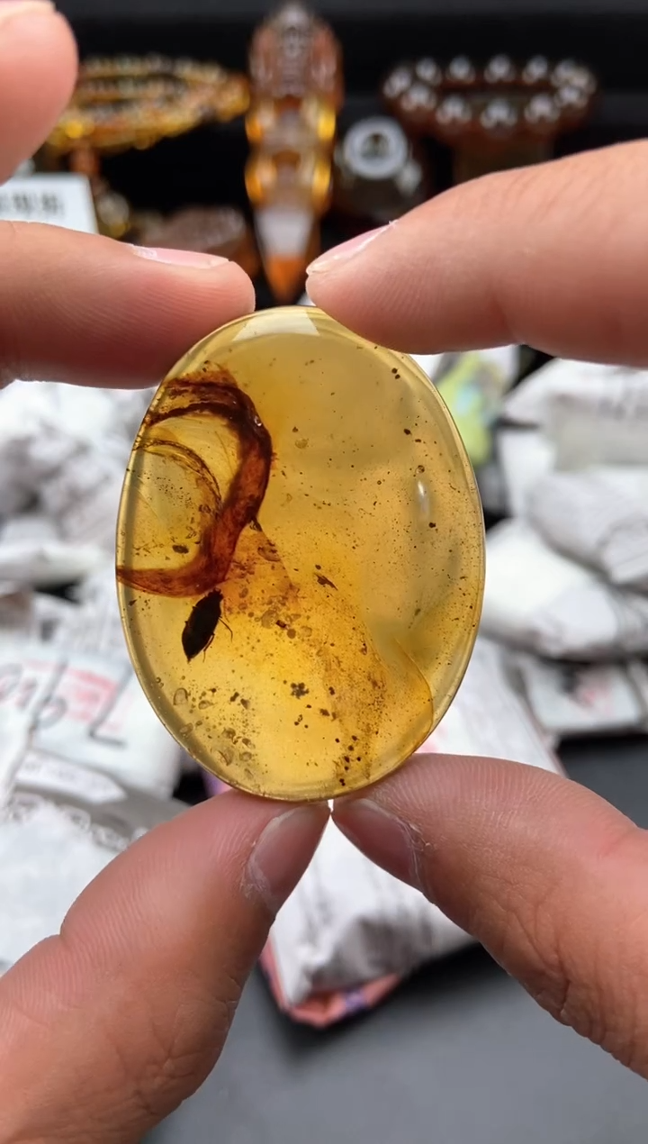【闪购商品】琥珀颈饰未镶嵌虫珀随形吊坠
