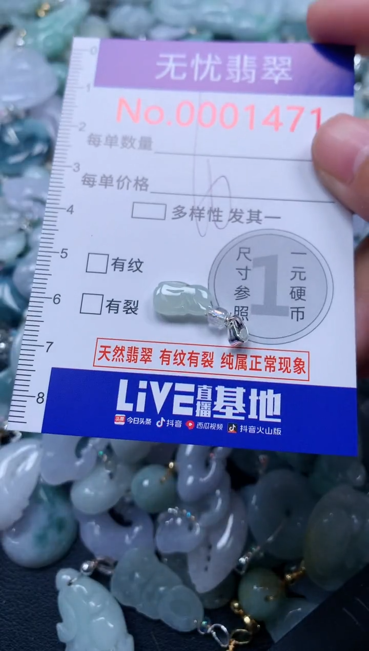 颈饰未镶嵌翡翠1471