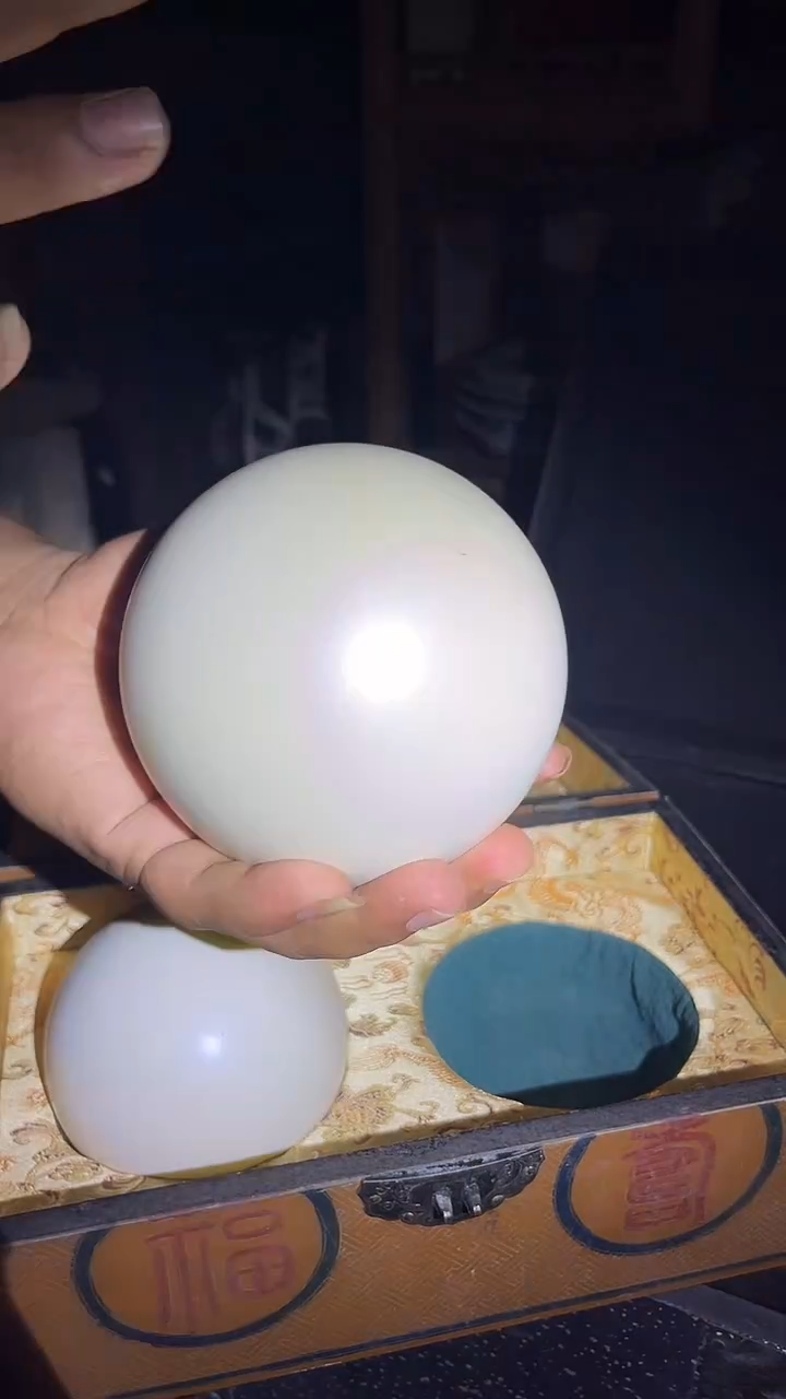 贝壳摆件1件.大....