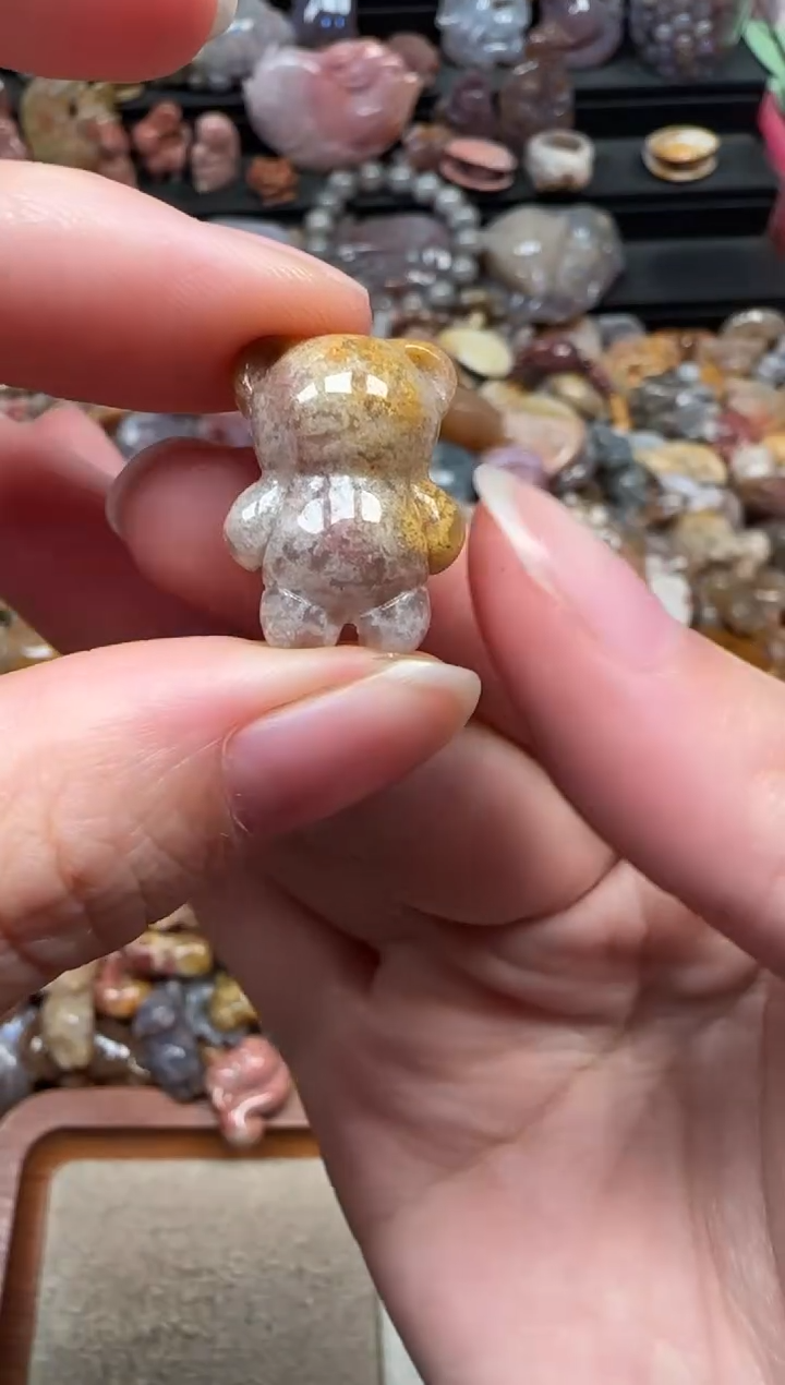 颈饰未镶嵌硅化珊瑚（珊瑚玉）763