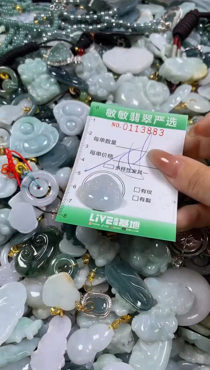 【闪购商品】翡翠颈饰未镶嵌闪购0113883