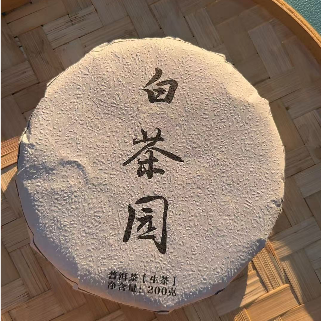 3月8日 200克*5饼 21年易武弯弓白茶园 生茶饼茶 T1574