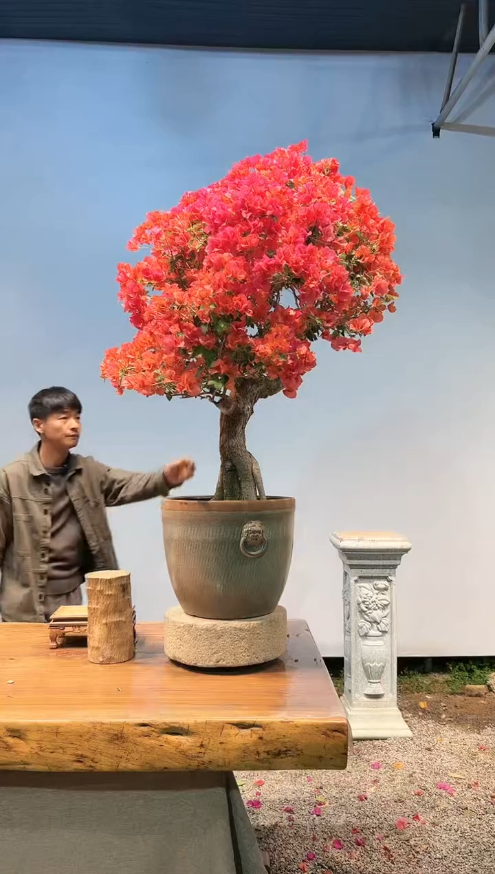 【闪购商品】aa970