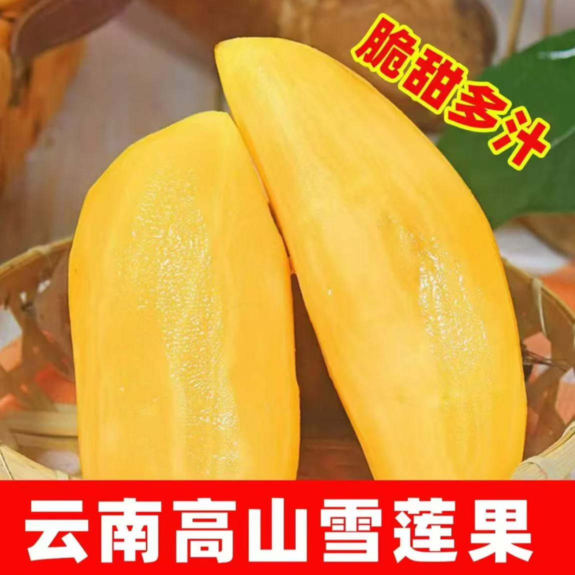 H云南天山雪莲果新鲜水果清甜脆爽解腻水果现挖现发产地直发