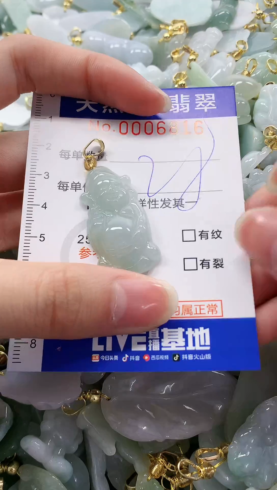 颈饰未镶嵌翡翠纯天然a货翡翠