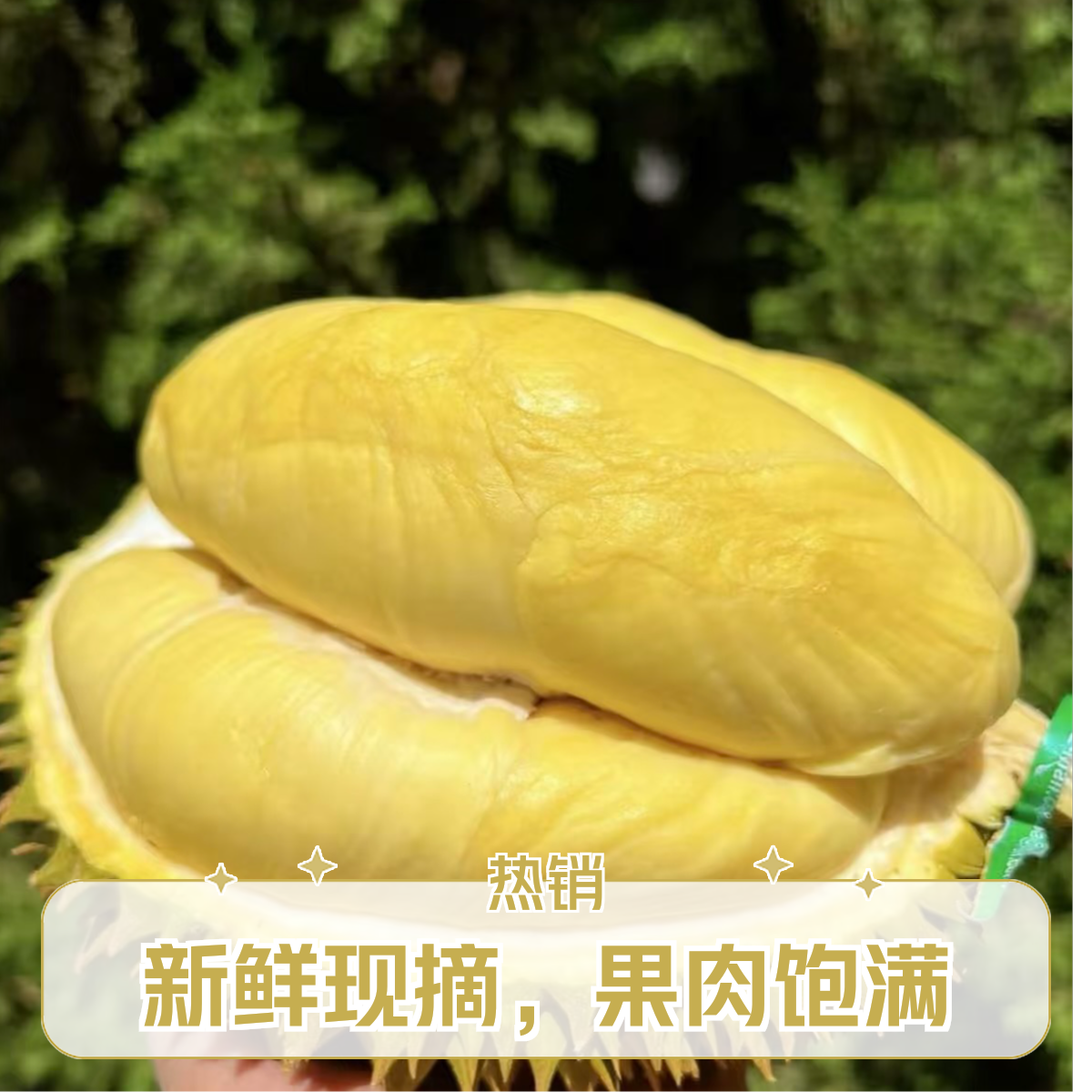 泰国金枕干包黄肉软糯香甜纯果肉1.5斤鲜榴莲核小金枕泰国