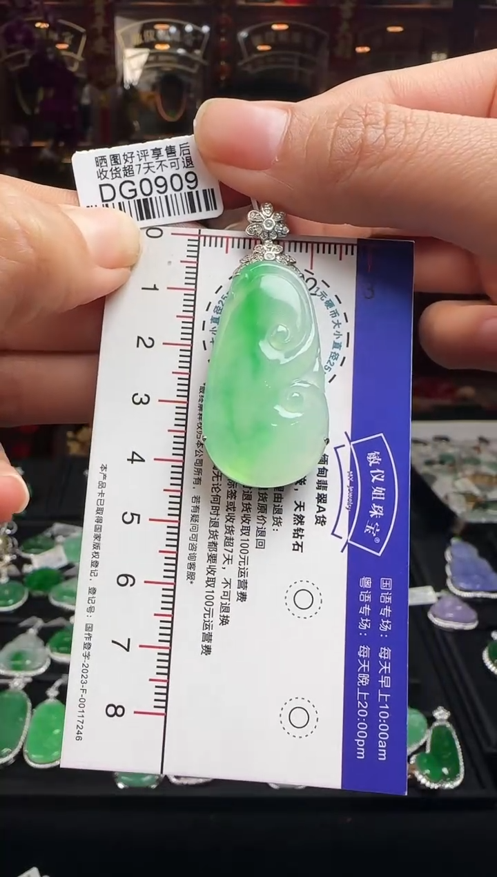 【闪购商品】翡翠颈饰18K金镶嵌DG0909冰绿如意
