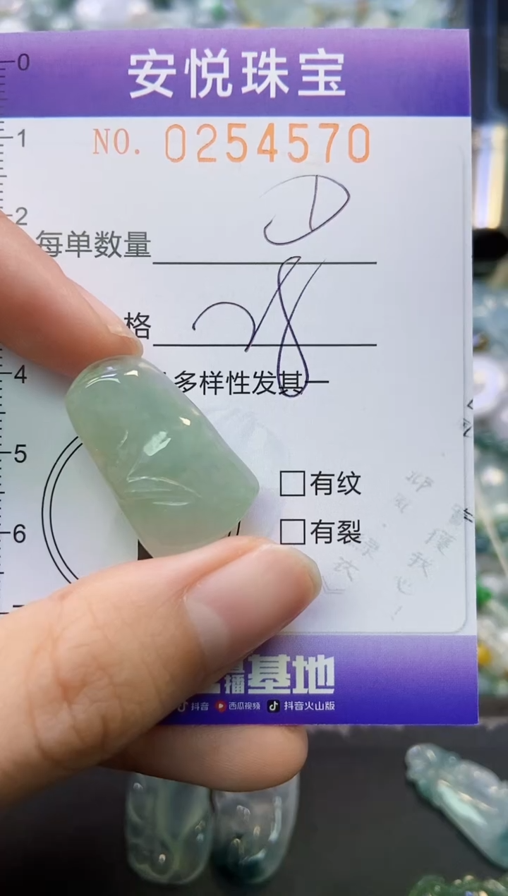 颈饰未镶嵌翡翠闪购0254570