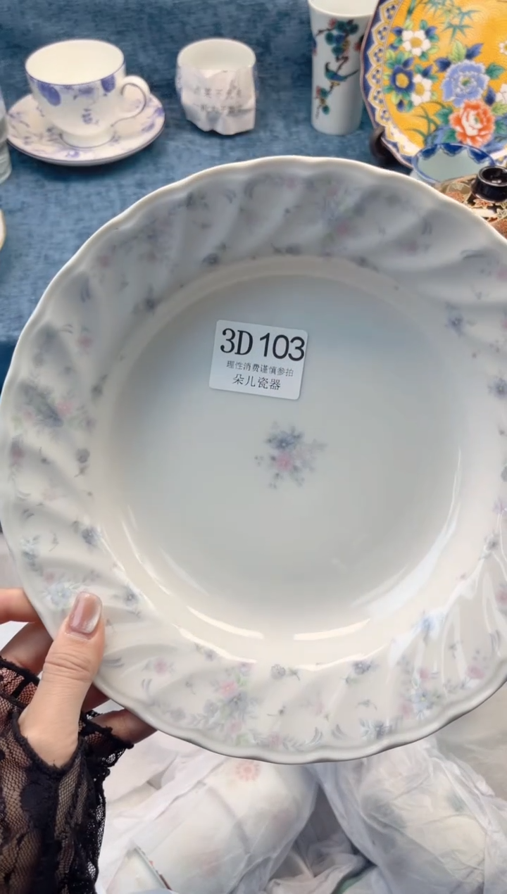 瓷片         3D103