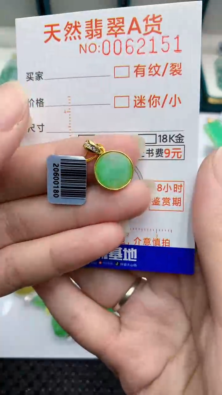 【闪购商品】翡翠颈饰银S925镶嵌            8